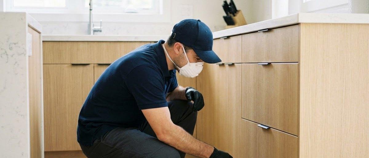 Nexus Pest Control technician treating the base of kitchen cabinets in a home